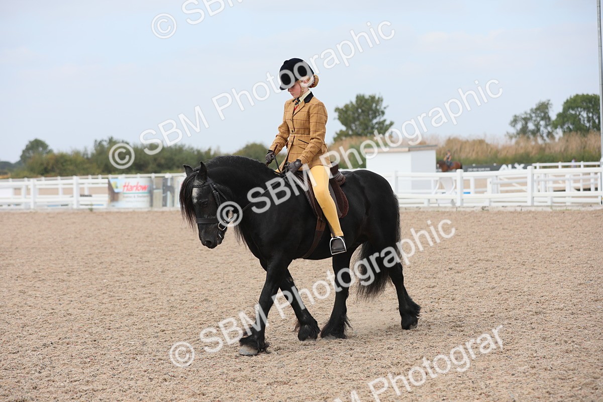 SBM_16937 - Class 314 Family Horse/Pony