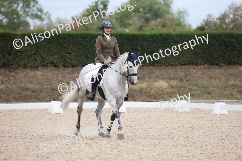 20250820-0915 - Class 16 - Novice 5