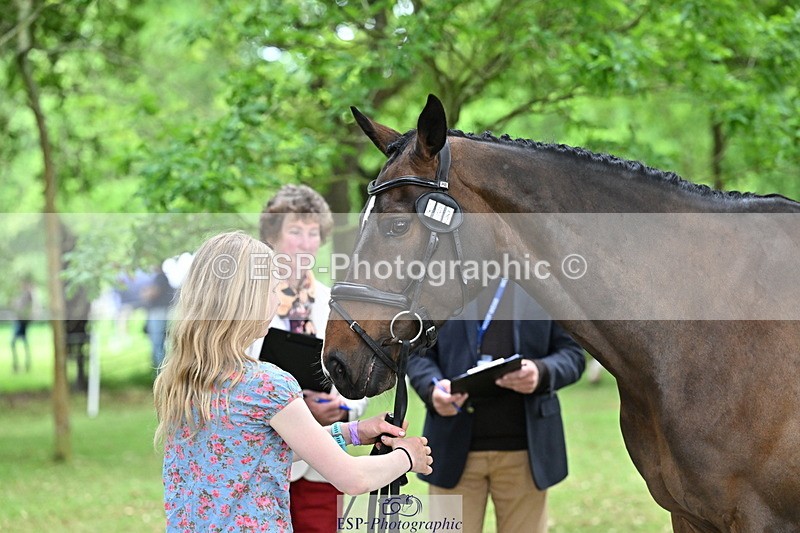 250521A-143434-00094 - A-008-Ada.Marson-IZZIETOP