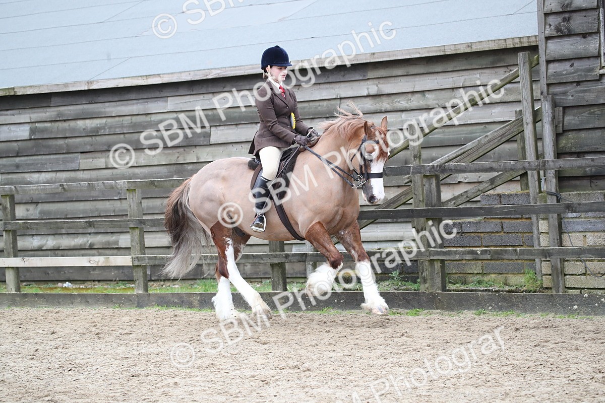 SBM_006259 - Class 10-13 - RIHS Small Large Breeds