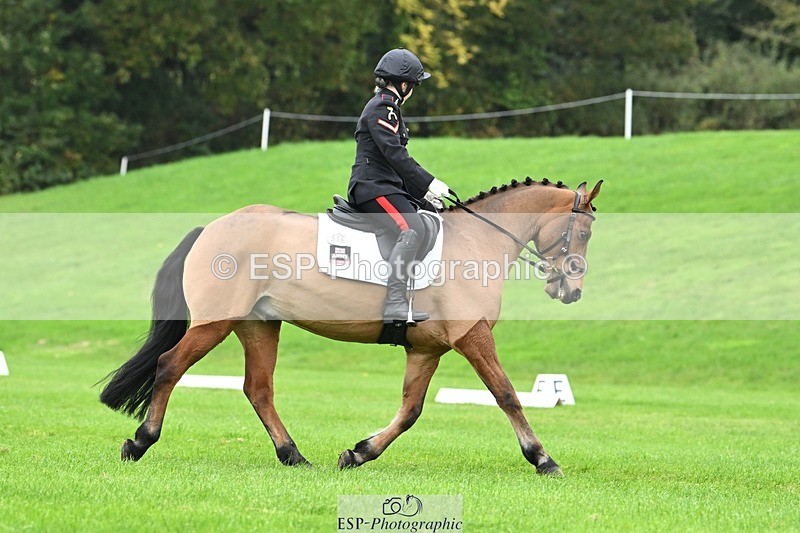 241024-123028-03419 - 516-L.Bdr.Ellie.Mitchell-MICRON.JOY