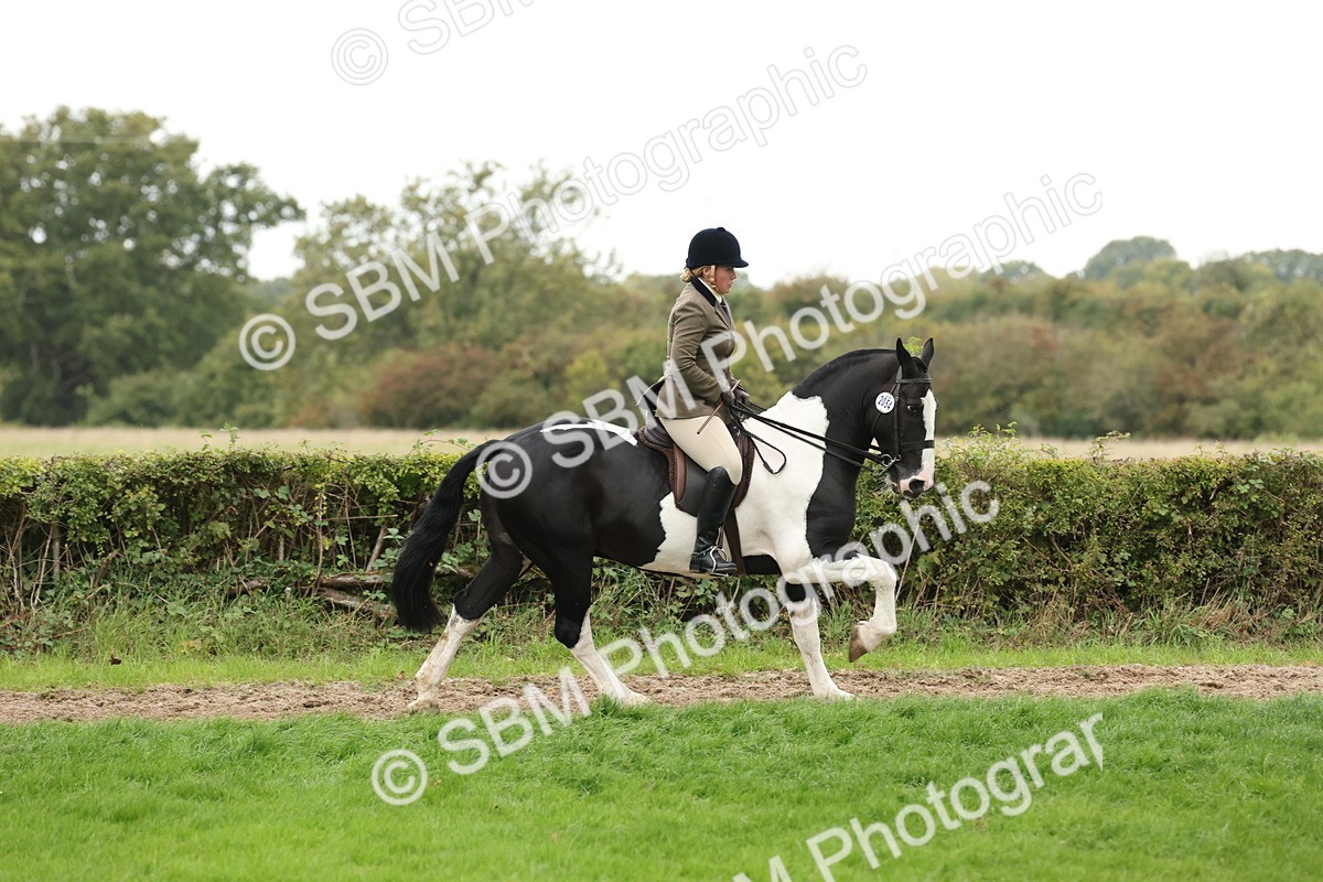 SBM_67332 - S67 - Piebald & Skewbald Horse Ridden
