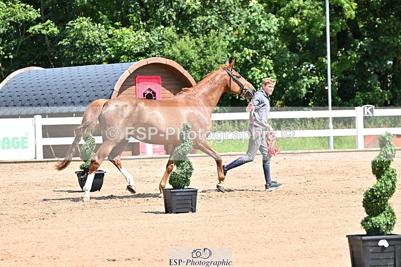 240718A-105241-01032 - Trot Up 11am to 12pm