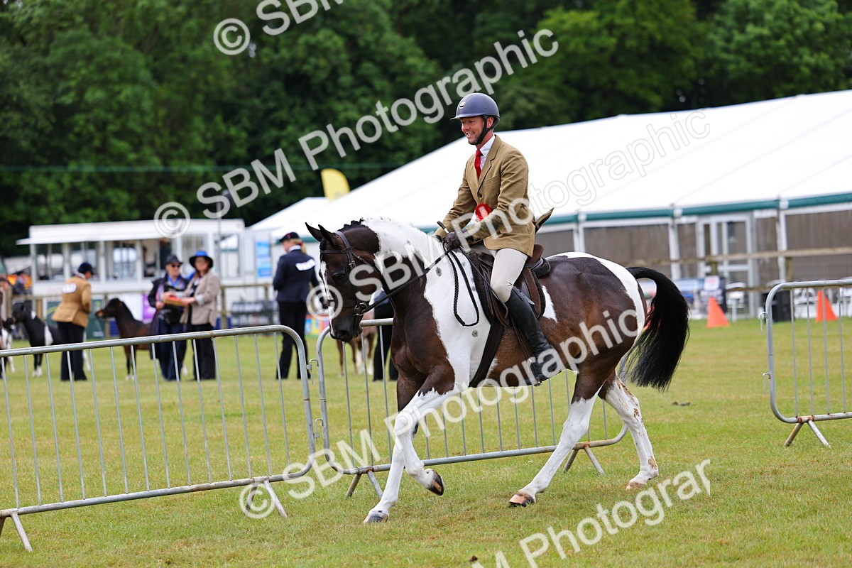 SBM_02648 - Class 9-11 Side Saddle including LIHS Rising Star Ladies Show Horse