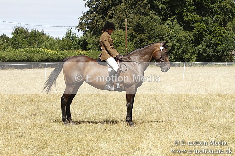 _BS_0829 - BVRC Show 2018 Ring 1