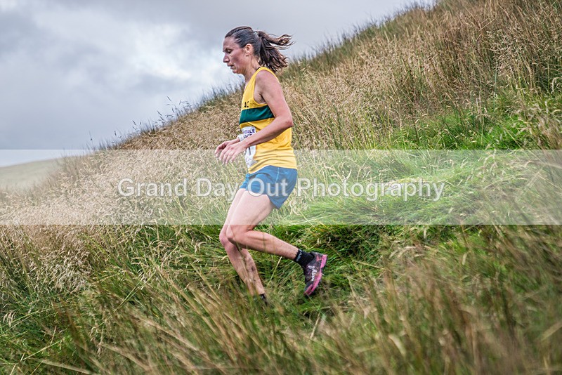 Steel Fell-558 - Steel Fell Race Wednesday 7th August 2024