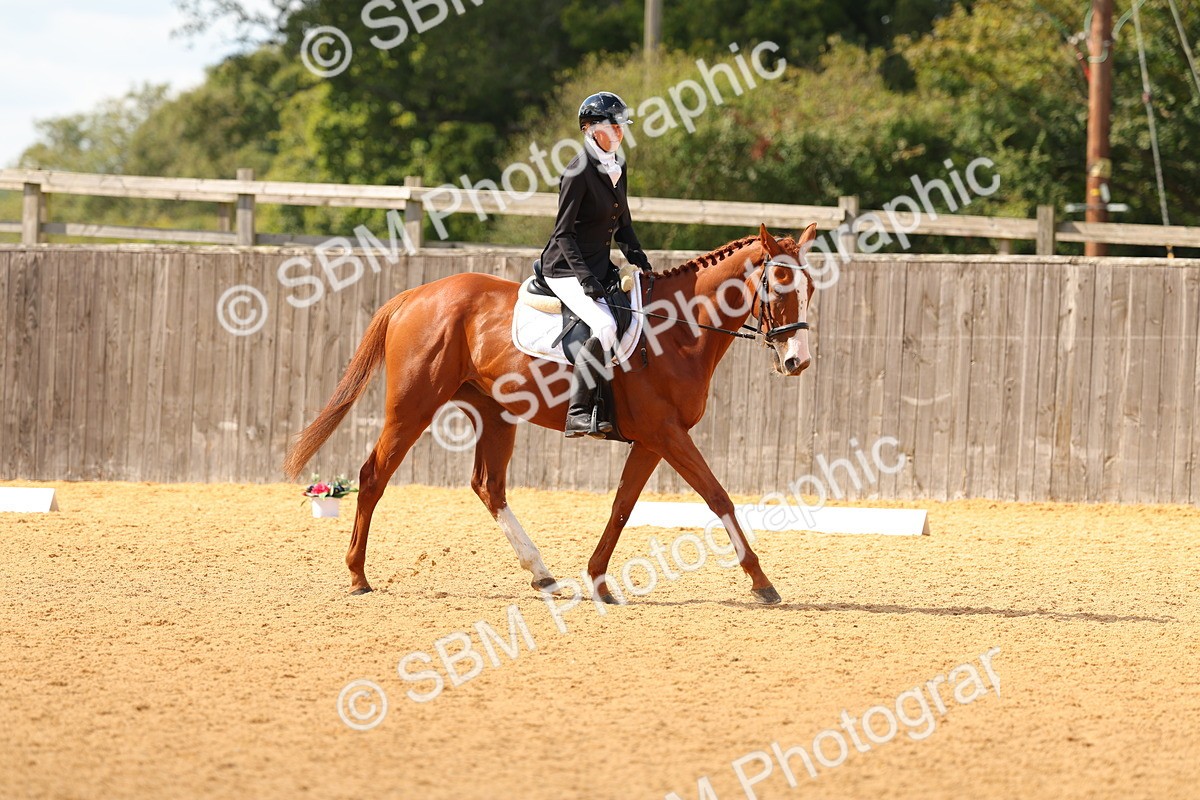 SBM_43820 - D6 - Small Tour Championship - Intro C