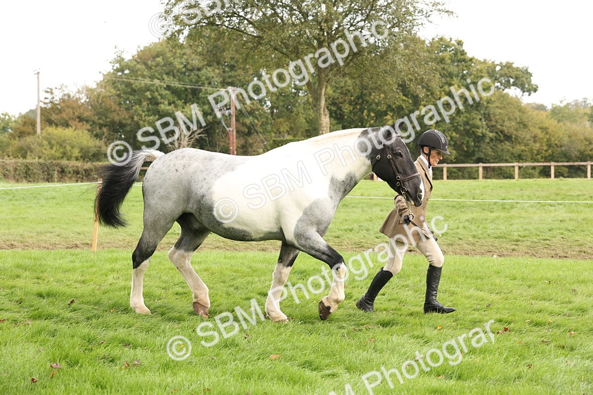SBM_57504 - S56 - Show Cob in Hand