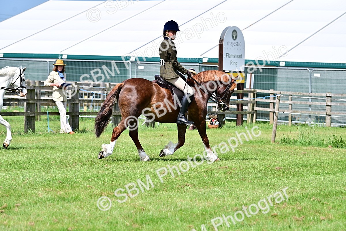 SBM_03721 - Class 58 - TSR  Ridden Veteran Amateur of the year