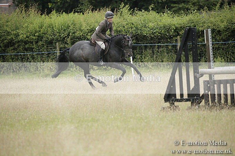 B230619-0738 - Bourne Valley Riding Club Summer Show 23/06/19