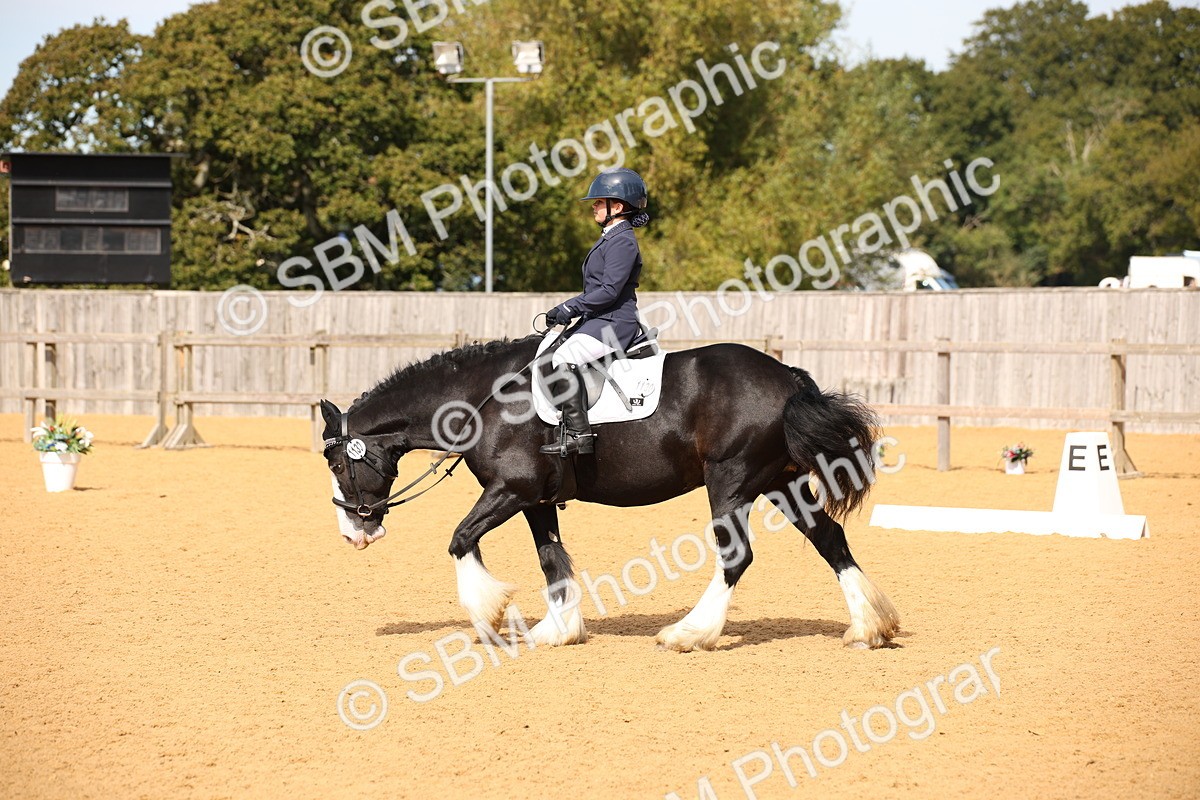 SBM_21735 - D5 - Small Tour Championship - Intro C