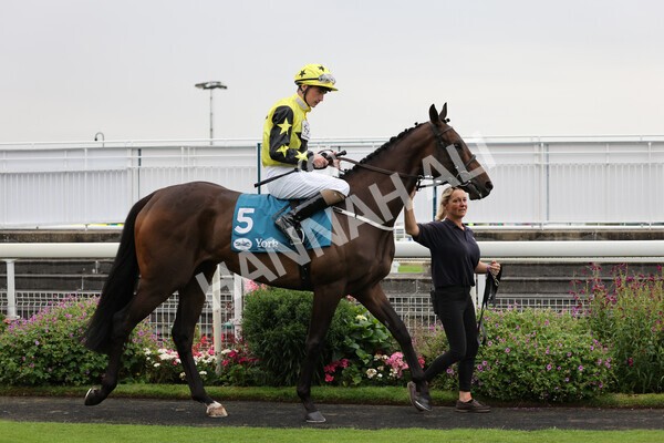 yr22072022r2-7 - Race 2 5.50pm eventmasters.co.uk Stakes