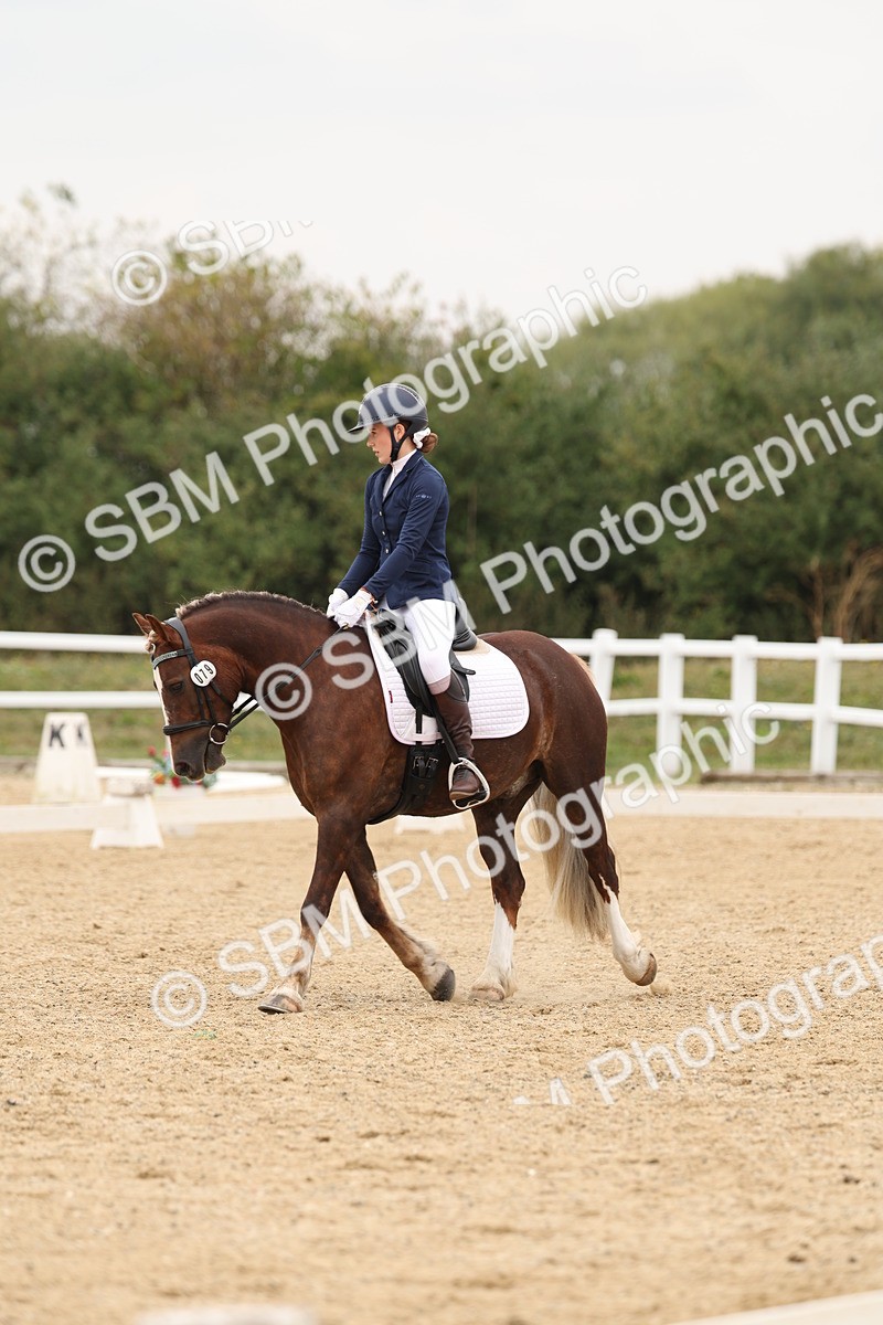 SBM_01035 - Class 8 - Novice 27 Champs