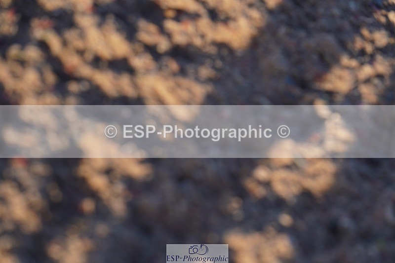 250125-100328-00889 - Clear Round 40cm and 50cm