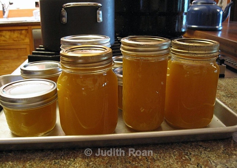 Plum Jam-2 - Plum Jam
