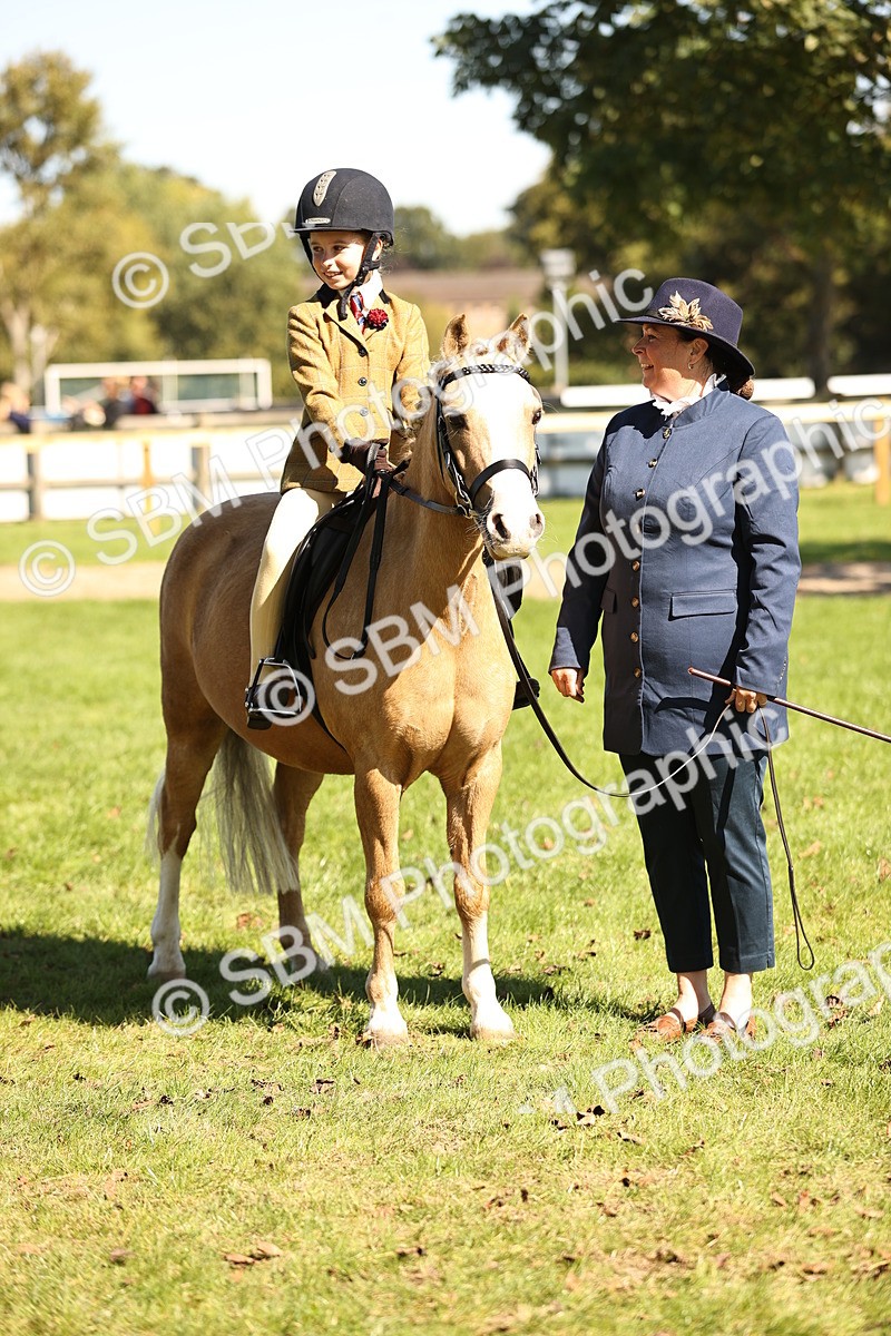 SBM_19297 - S3 - TSR Ridden Pony Showing