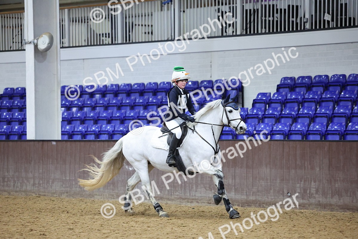 SBM_001071 - Class 3 - Christmas Tree Stakes - 60cm