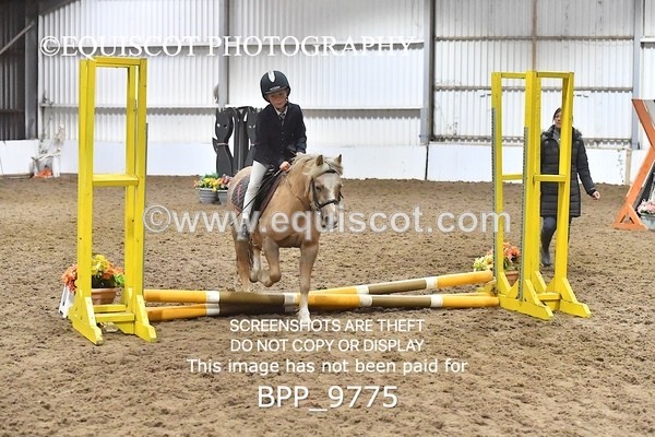 BPP_9775 - CLASS 1 CROSSPOLES