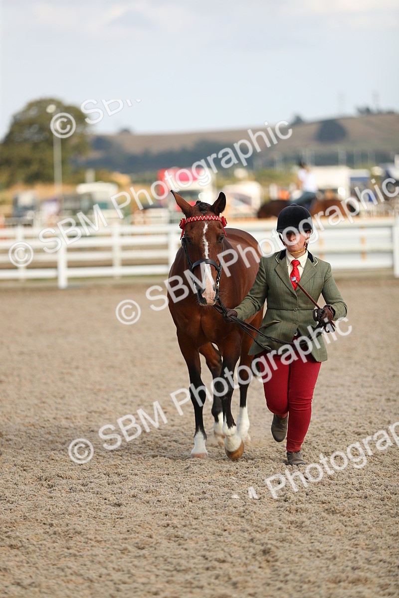SBM_08630 - Class 28 - IH Veteran Horse