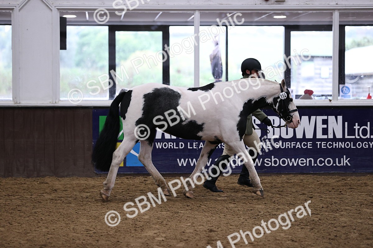 SBM_5634 - Class 40 - RESS In Hand Qualifier