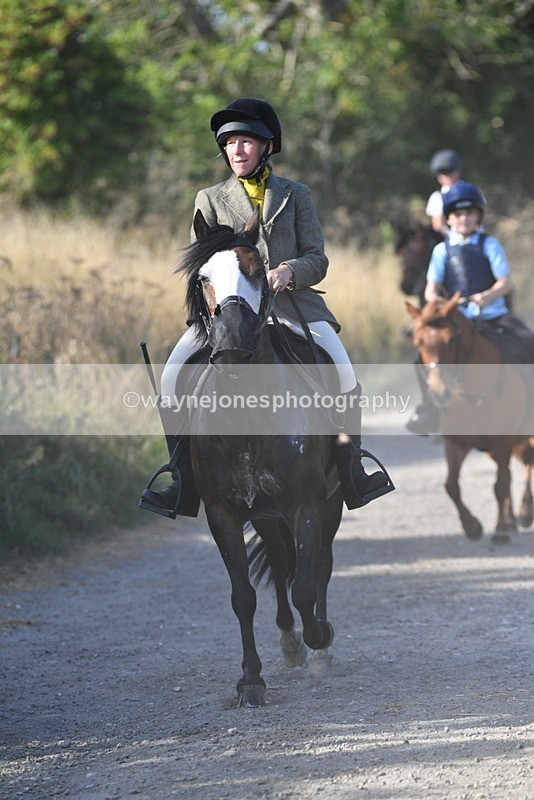 WJ5_5026 - Walk out with the hounds