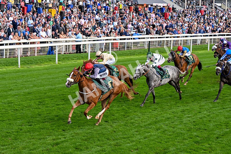 190826-Race 6-Miss Yechance-0728 - Race 6 16.45pm Irish Thoroughbred Marketing Handicap