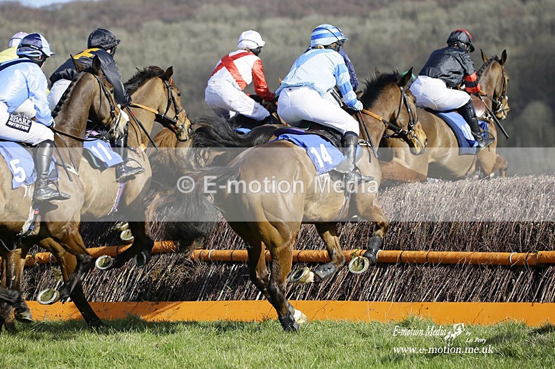 PtP 260222 358 - Kingston Blount Racing Club Point-to-Point 26/02/22