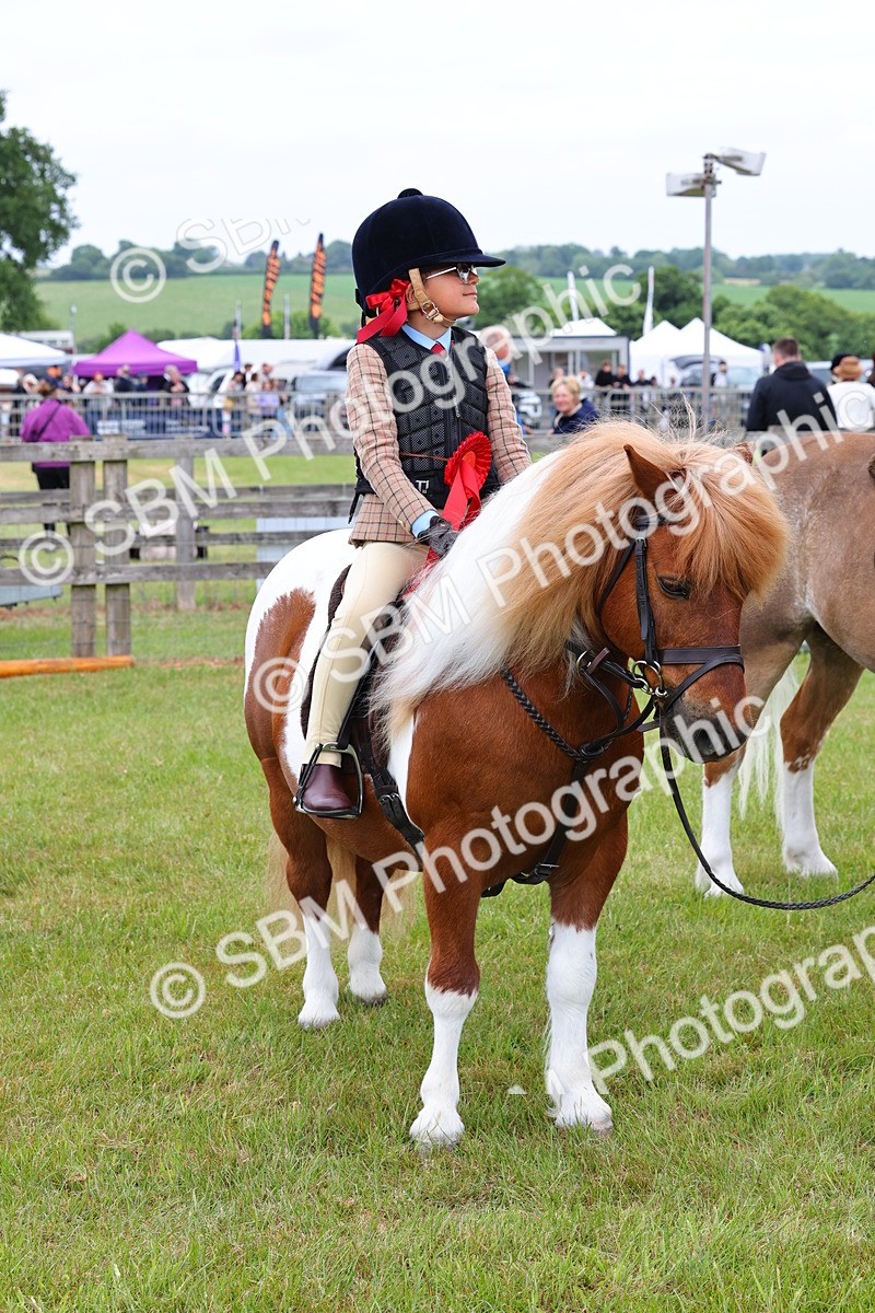 SBM_08403 - Class 42-43 - LIHS BSPS Heritage Working Sports Pony