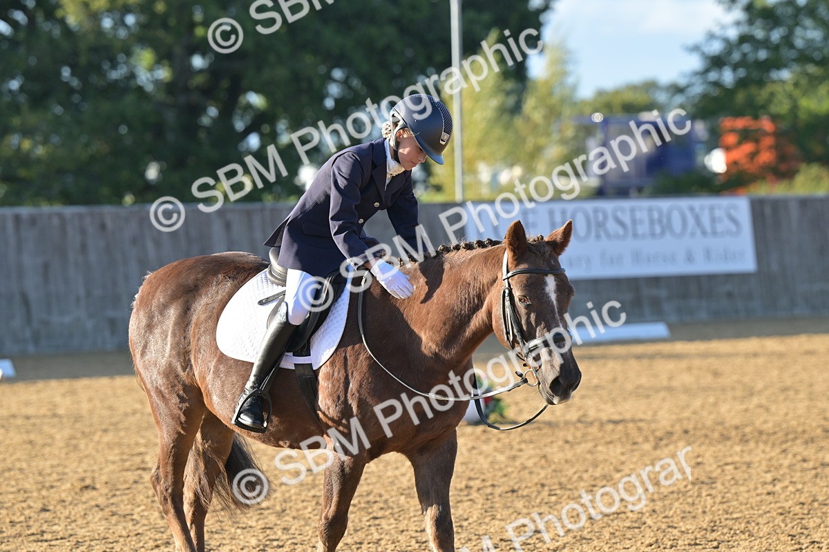 SBM_13108 - D3 - Small Tour Championship Intro 3