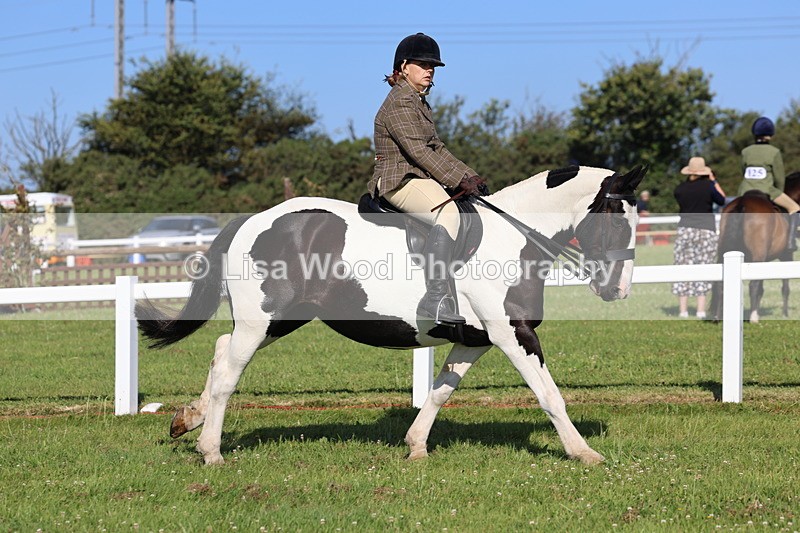 IMG_1499 - Class 30: Ridden Native/Trad Coloured Pony