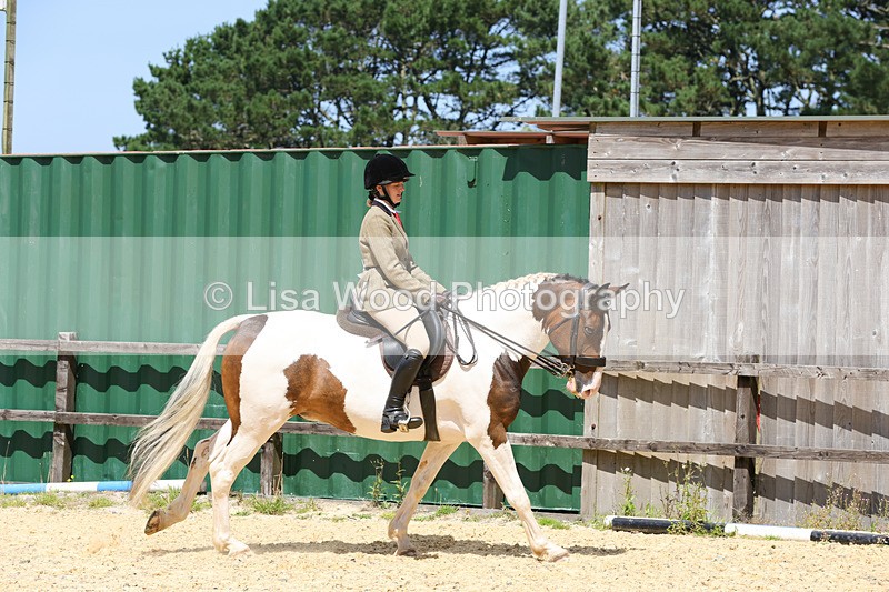 1X9A8794 - Class 19: Riding Club Horse