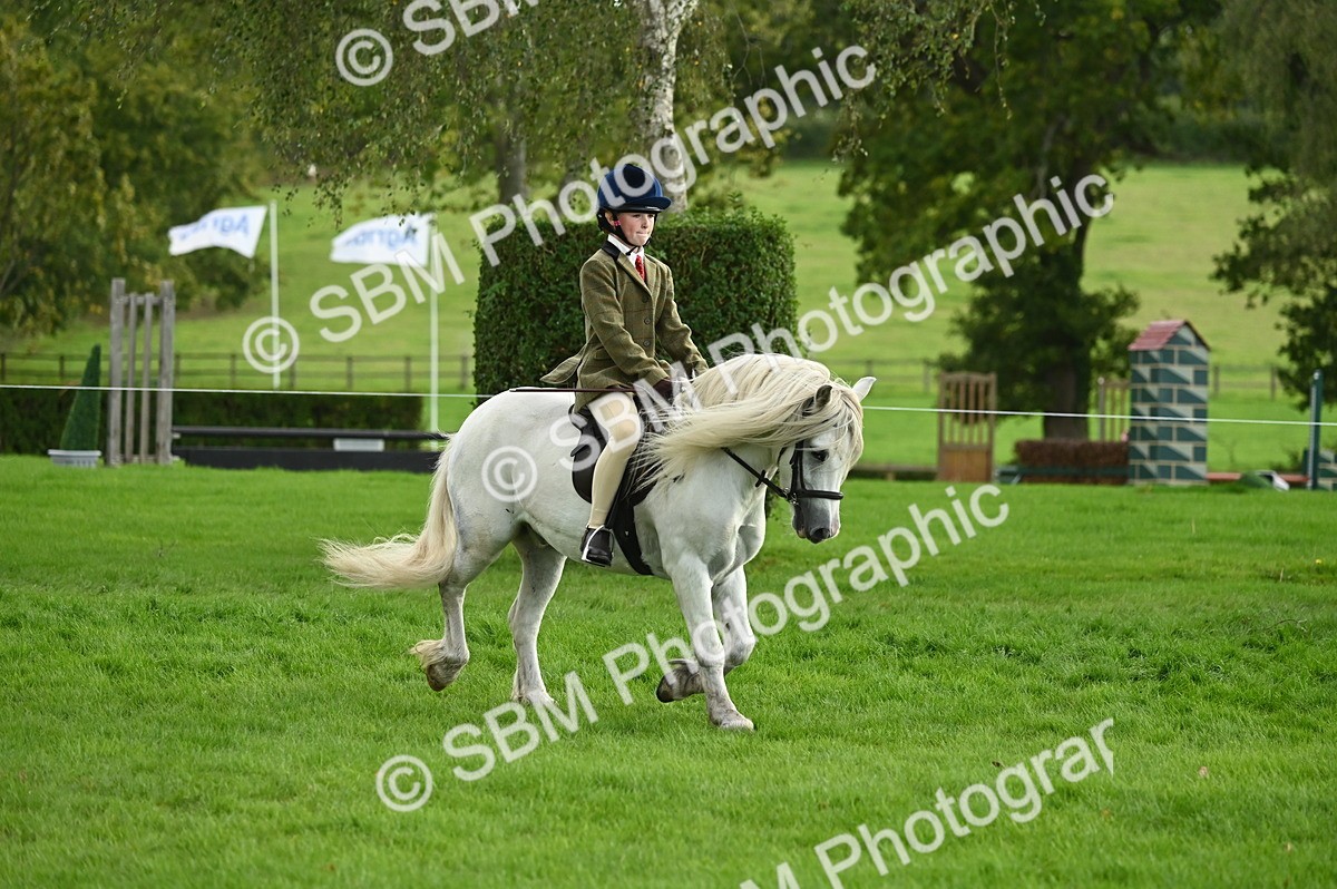 SBM_26604 - S7 - Novice & Newcomer Ridden Pony