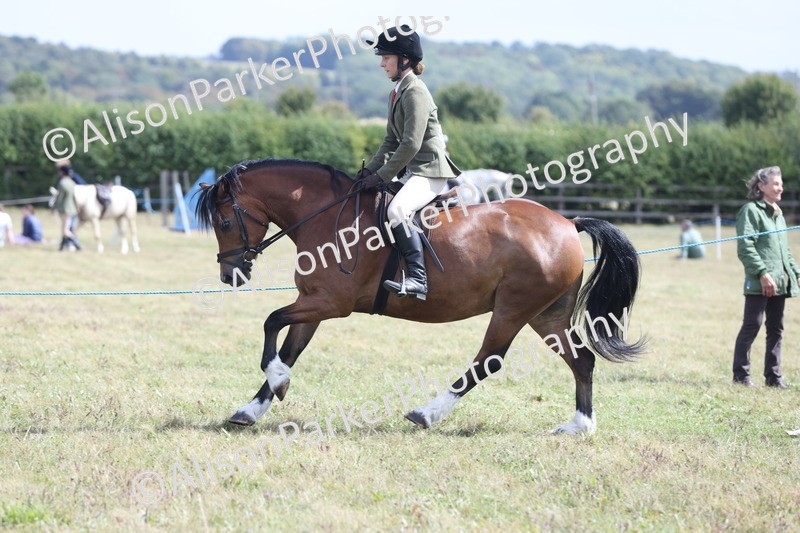 20250831-2971 - Class 19 - Mountain and Moorland