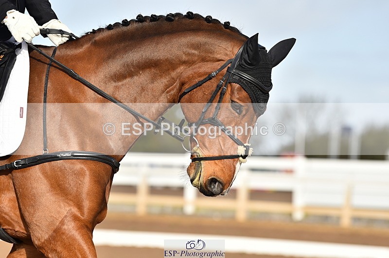 231104A-102430-01343 - Cls 2 Prelim 19