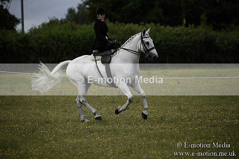 BVR160717-1642 - Side Saddle Classes 16/07/17