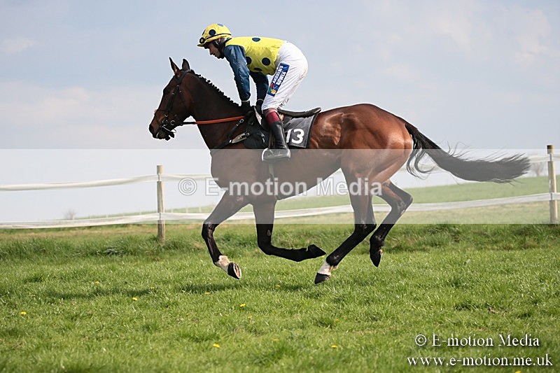 PtP 210418 409 - South & West Wilts Point-to-Point Larkhill 21/04/18