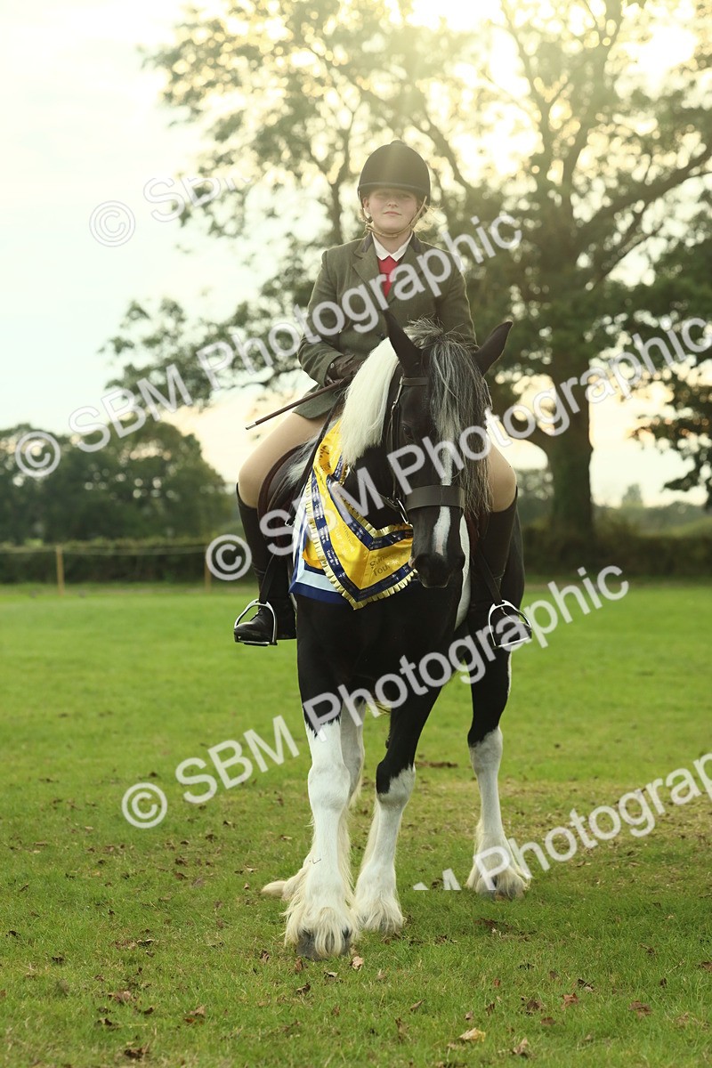 SBM_75328 - Super Supreme Championship