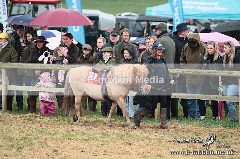 SHETPR 210425 53 - Shetland Ponies Paxford Races 21/04/25