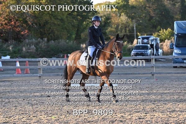 BPP_9809 - SHORT ARENA