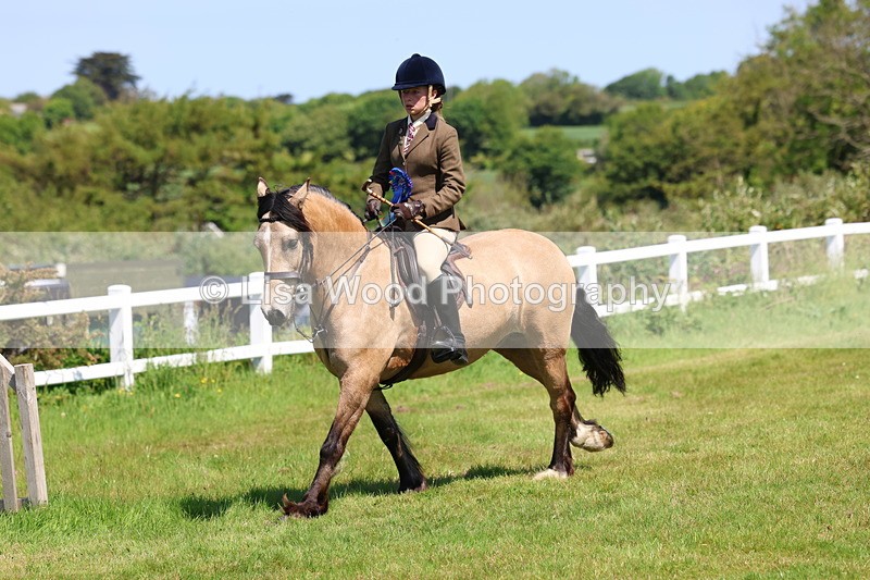 3E7A6763 - Working Hunter Pony Championship