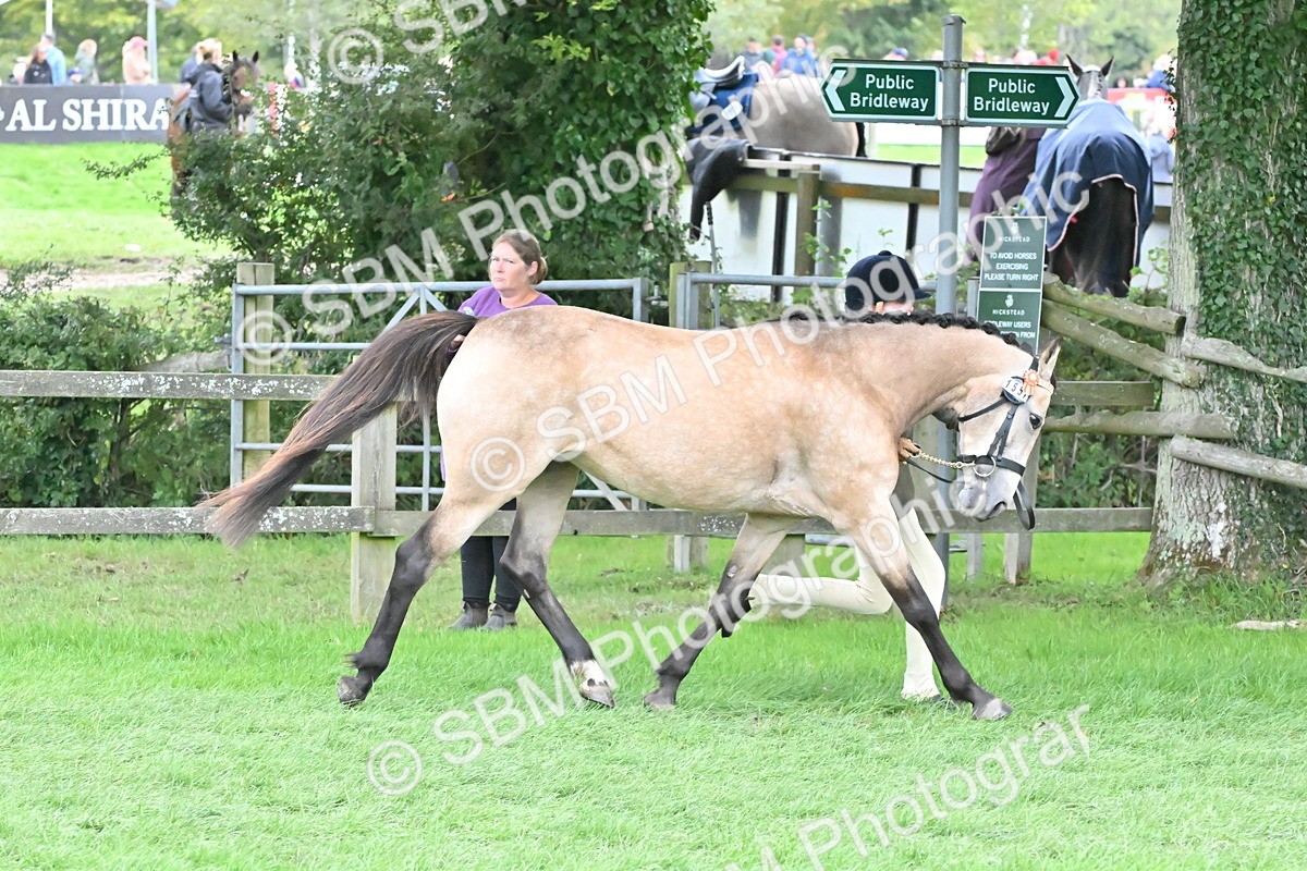 SBM_68523 - S42 - Junior Handler 9-12 Years