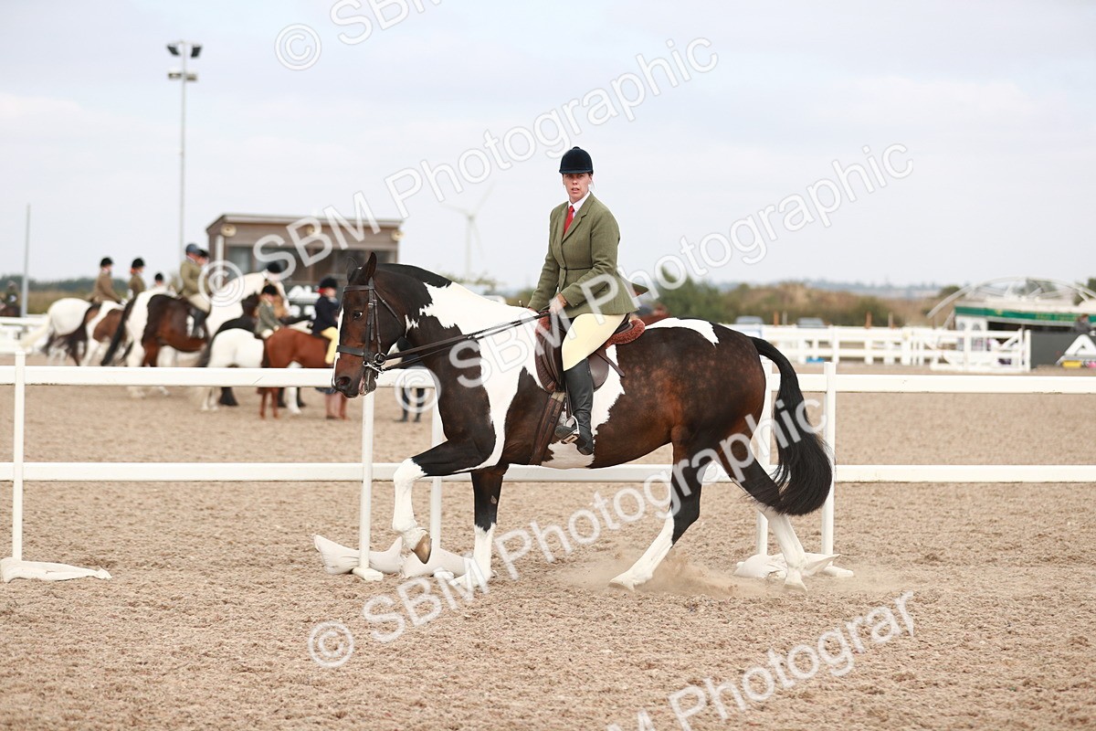 SBM_16702 - Class 214 Ridden Cob