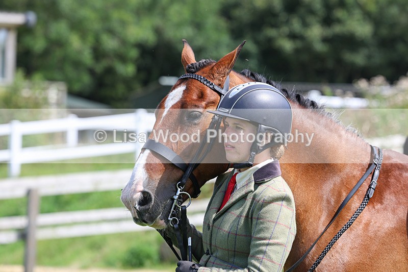 3E7A8733 - Class 5: Working Show Horse