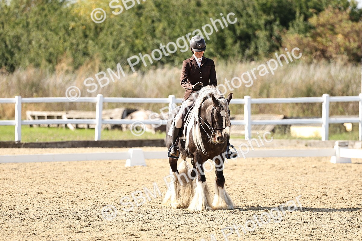 SBM_015267 - Class 9 - Advanced medium 3