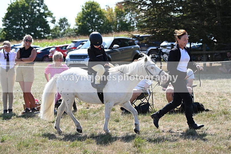 WJ6_7853 - Class 36 Lead Rein