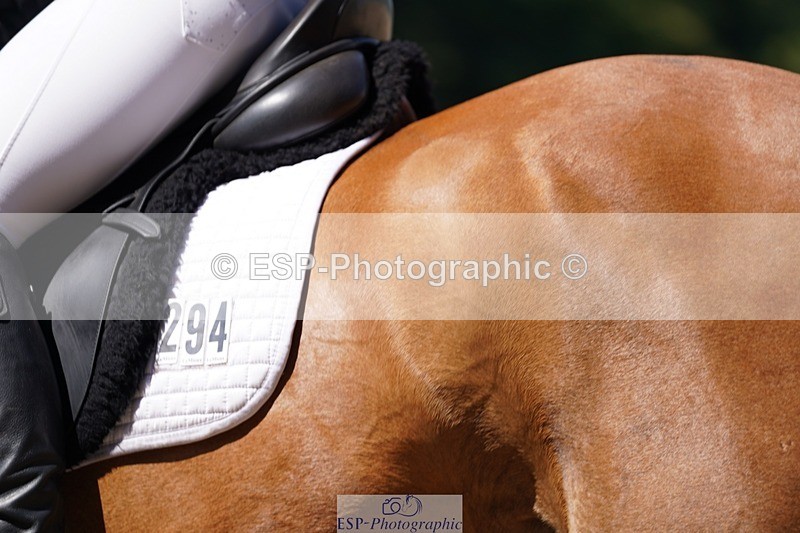 240719-114252-01250 - 294-Aida_Molineux-Hilfiger_II