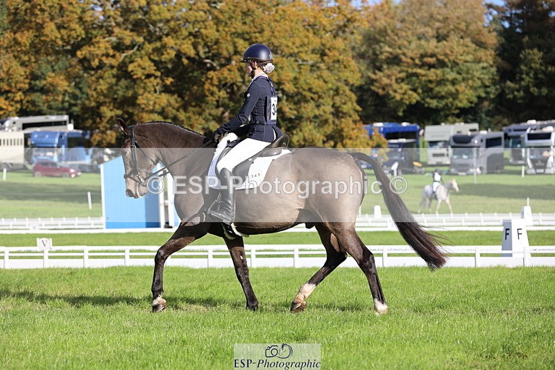 251024A-102725-07758 - D-345-Neve.Webber