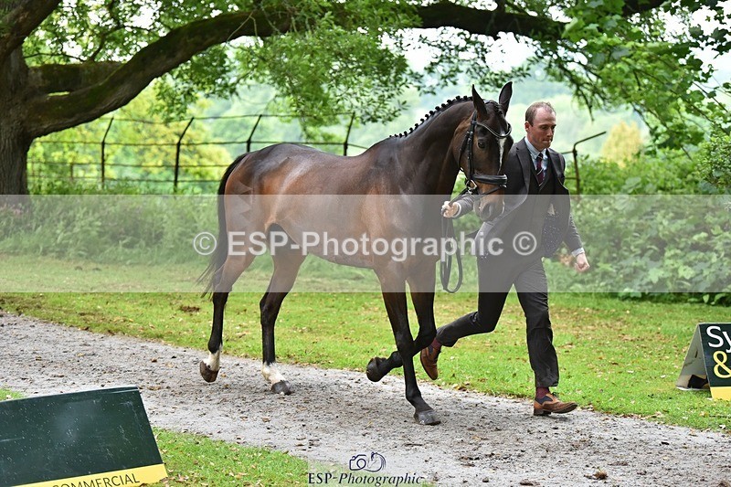 240522-170256-01347 - 234-MATTERHORN_RISING-Tom_Rowland