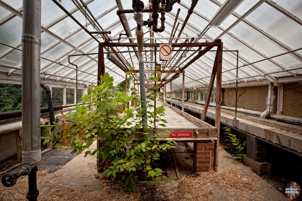  - Mayview State Hospital