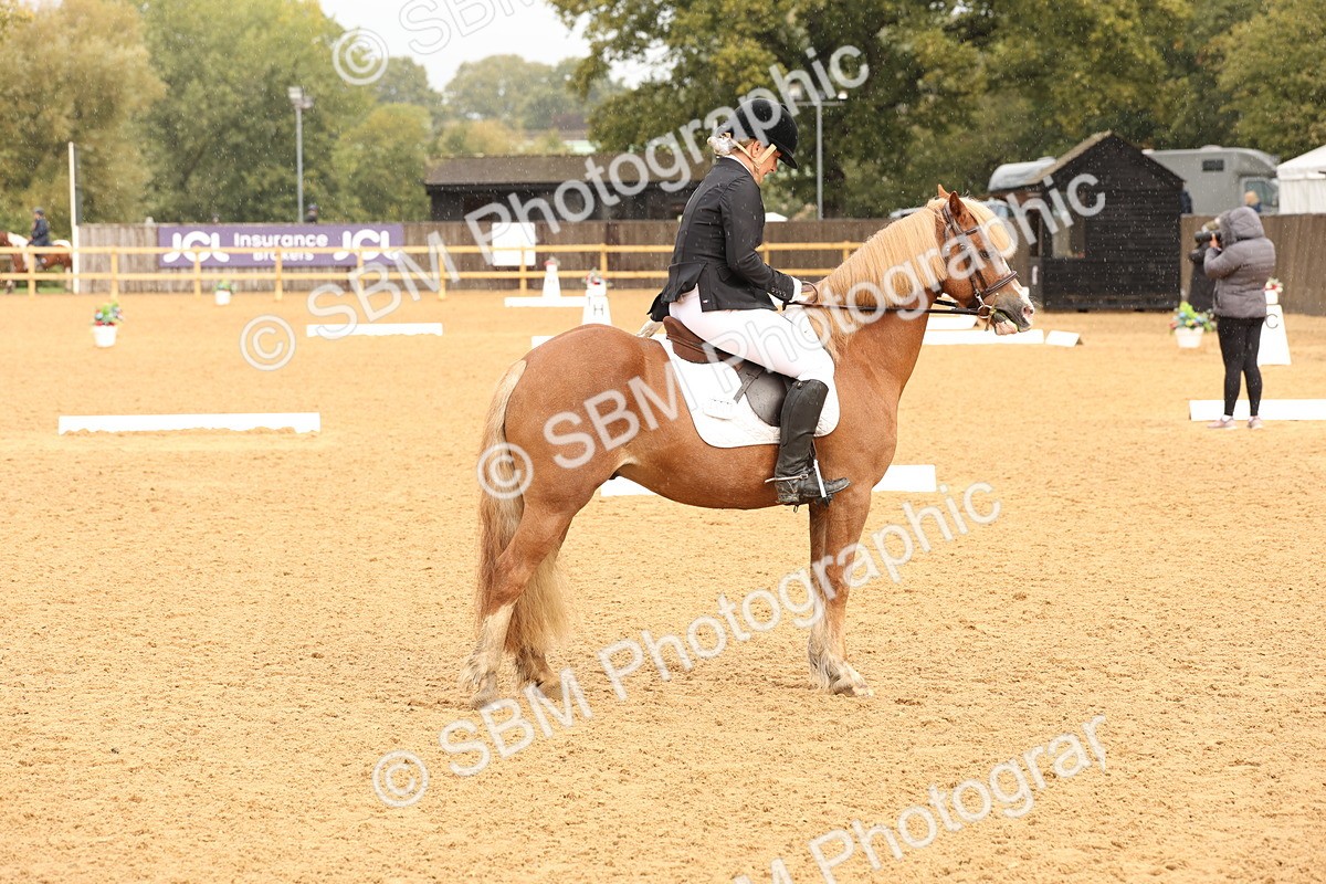 SBM_40583 - D6 - Small Tour Championship Intro 4